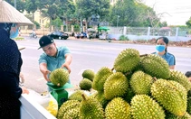Cần Thơ 'thiết lập cơ chế phản ứng nhanh' để tiêu thụ nông sản