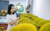 Tổ chức lại chuỗi sản xuất để giữ ngành hàng sầu riêng 'tỉ đô'
