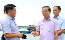 Lãnh đạo TP.HCM kiểm tra thực địa công tác quản lý rừng, phòng tránh thiên tai khu vực Bà Rịa - Vũng Tàu