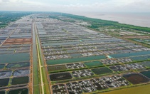 6 tháng để tăng tốc