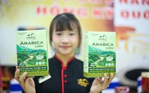 Điện Biên tăng tốc trồng cà phê
