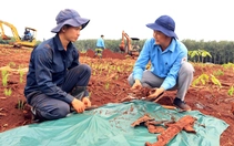 Tìm thấy nhiều di vật nghi của liệt sĩ tại hố chôn tập thể ở Đồng Nai, có cây bút khắc tên 'Tiến Quy'