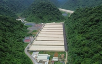 3 người chết trong trang trại nuôi heo ở Thanh Hóa