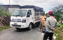 Vụ nữ sinh tử vong ở Vĩnh Long: Phục hồi điều tra tài xế xe tải