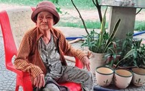 Đi giữa đời bỗng nhớ tiếng rao 'Ai sương sâm hạt lựu' của bà Tư một thuở