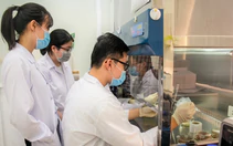 Thành phố của nguồn nhân lực chất lượng cao