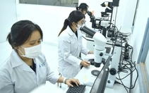Tin tức sáng 22-7: TP.HCM thu hút người tài năng; Tăng trợ cấp với quân nhân phục viên, xuất ngũ