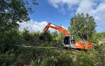 Phú Quốc cưỡng chế thu hồi hơn 22,3ha đất rừng, đất dự án bị lấn chiếm
