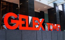 VN-Index lấy lại hơn 30 điểm, nhóm cổ phiếu 'họ' Gelex đồng loạt tím