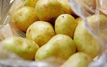 Vì sao không nên ăn khoai tây khi vỏ của chúng chuyển sang màu xanh?