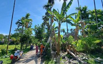 Xóa vùng 'lõm điện' ở thôn Lâm Bình Phương