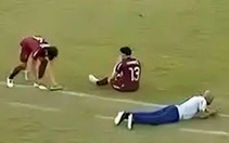 Bầy ong tràn vào sân khiến cầu thủ hoảng sợ, trốn vào phòng thay đồ ở trận chung kết U20 Brazil