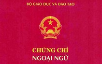 Giáo viên THCS có bằng đại học sư phạm tiếng Anh còn bị ‘đòi’ chứng chỉ ngoại ngữ B2, đúng không?