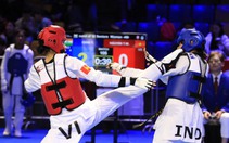 Taekwondo Việt Nam: Đường đua Olympic bắt đầu từ sân nhà
