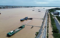 Chạy đua với lũ, kè chống sạt lở bờ sông Tiền vượt tiến độ gần 4 tháng