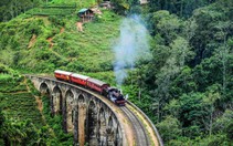 Có hẹn Sri Lanka vào tháng 8