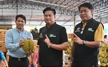 Sầu riêng Thái Lan lập kỷ lục xuất khẩu sang Trung Quốc, nhờ đâu?