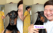 Chú chó nhõng nhẽo với cậu chủ khi bị mắng