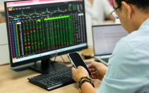 Gần 70% cổ phiếu ngân hàng giảm giá, SHB mất hơn 30% sau 7 tháng