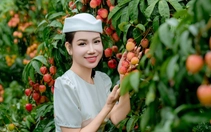 Vải thiều Bắc Ninh thắng lớn, tổng doanh thu vượt 9.000 tỉ đồng