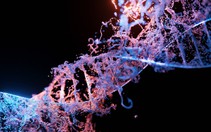 Phát hiện hai 'dòng dõi ma' ẩn trong DNA người