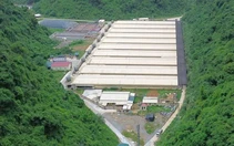 Khởi tố vụ án tai nạn lao động làm 5 người chết tại trại nuôi heo ở Thanh Hóa
