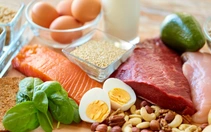 Protein thực vật hay động vật có lợi hơn cho cơ bắp và sức khỏe?