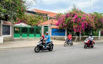 Trường Hermann Gmeiner Nha Trang dừng tuyển sinh