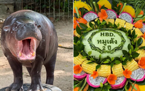 Sở thú Thái Lan mở hội mừng sinh nhật 2 tuổi cho 'ngôi sao' Moo Deng