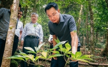 Chợ sâm Ngọc Linh bán hằng tháng ở chợ đêm gần cầu Rồng