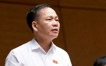 Đại biểu Quốc hội đề xuất cấm xuất cảnh với người lao động vi phạm pháp luật ở nước ngoài
