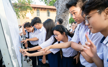 TP.HCM dự kiến bỏ thi học sinh giỏi lớp 9, chuyển sang 'sân chơi' Olympic