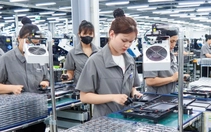 AI 'viết như máy', muốn dùng tìm việc phải biết cách