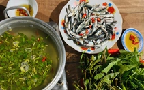 Về sông ăn cá, về đồng ăn cua