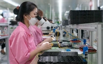 Nhập siêu 20,3 tỉ USD: Những mặt hàng nào nhập khẩu tăng mạnh nhất?