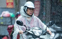 Thời tiết hôm nay 19-8: Đất liền mưa to, Biển Đông áp thấp nhiệt đới