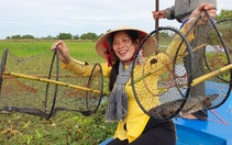 Vườn quốc gia U Minh Thượng: Cảnh đẹp, khách quá ít