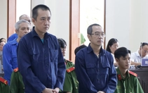 Cựu tổng giám đốc Công ty CP Lương thực Hậu Giang lãnh thêm 18 năm tù