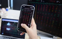 Chứng khoán 19-8: Dầu khí hút tiền, VN-Index có vượt được vùng 1.750 điểm?