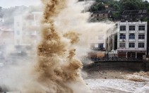 Bão Dolphin hướng về Trung Quốc, tỉnh Chiết Giang triển khai ứng phó