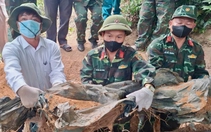 Nhớ lời mẹ dặn, người phụ nữ báo tin giúp tìm thấy hài cốt liệt sĩ