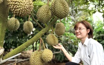 Đắk Lắk mong muốn tư nhân đầu tư phòng kiểm nghiệm sầu riêng