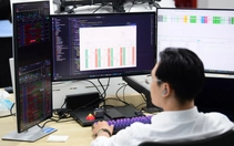 Thị trường càng chán, nhà đầu tư càng dễ mắc sai lầm này