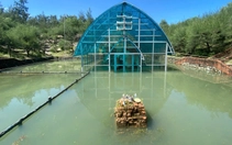 Chống ngập cho di tích tháp Chăm 1.200 tuổi