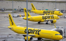 Tòa án Mỹ hoãn phê duyệt thương vụ Google mua dữ liệu của Spirit Airlines