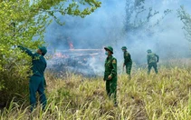 2 ngày, 2 vụ cháy rừng tại Đắk Lắk, 65ha rừng bị thiệt hại