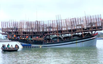 Tàu câu mực có 50 ngư dân mất liên lạc, đề nghị tìm kiếm