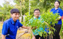 Tuổi trẻ TP.HCM hoạt động nghĩa tình, chung tay làm đẹp mỹ quan đô thị mừng Quốc khánh