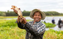 Ngôi làng giữ đầm nước cả năm để đón du khách về đánh bắt chỉ trong một ngày