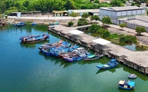 Đầu tư thêm 8 tỉ đồng để 'hồi sinh' cảng cá gần 200 tỉ ở Quảng Ngãi